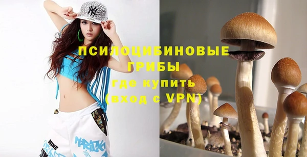 сатива Белоозёрский