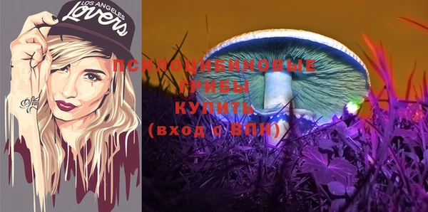 сатива Белоозёрский